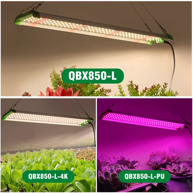 LED grow lights