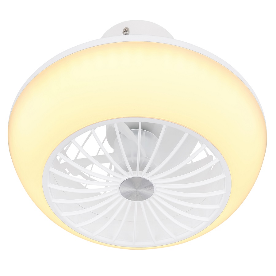 Led ceiling fan light