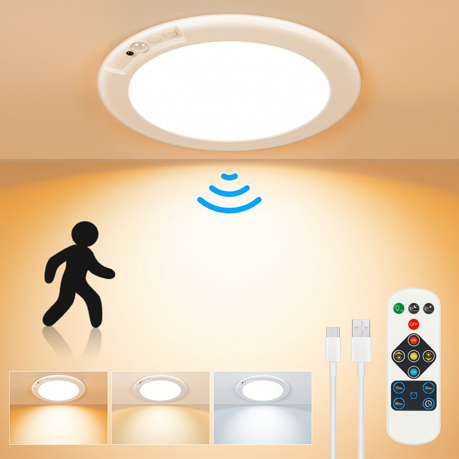 battery ceiling light