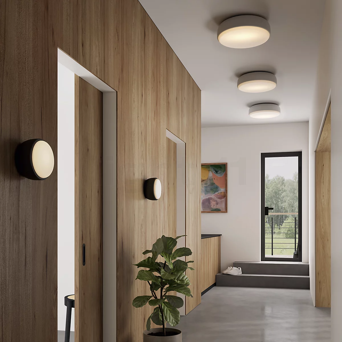 Ceiling light: Brighten Your Home While Saving on Electricity