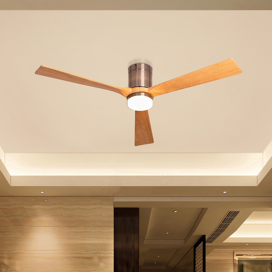 Light ceiling fan