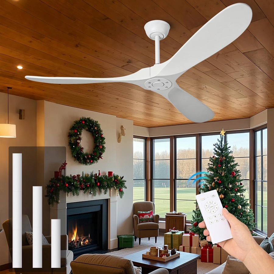 60 inch ceiling fan with light