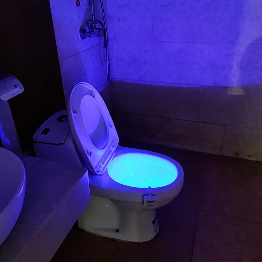 toilet night light