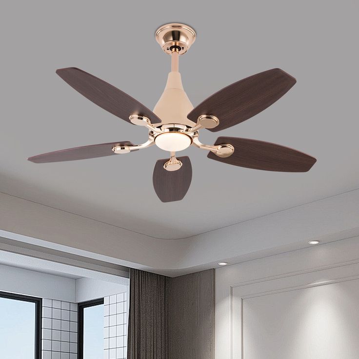 Ceiling fan chandelier