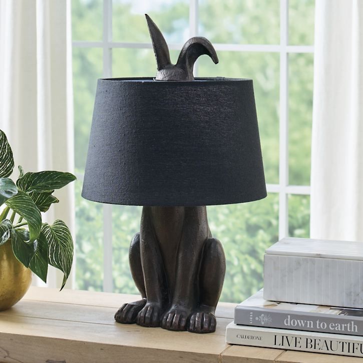 Lamp cover