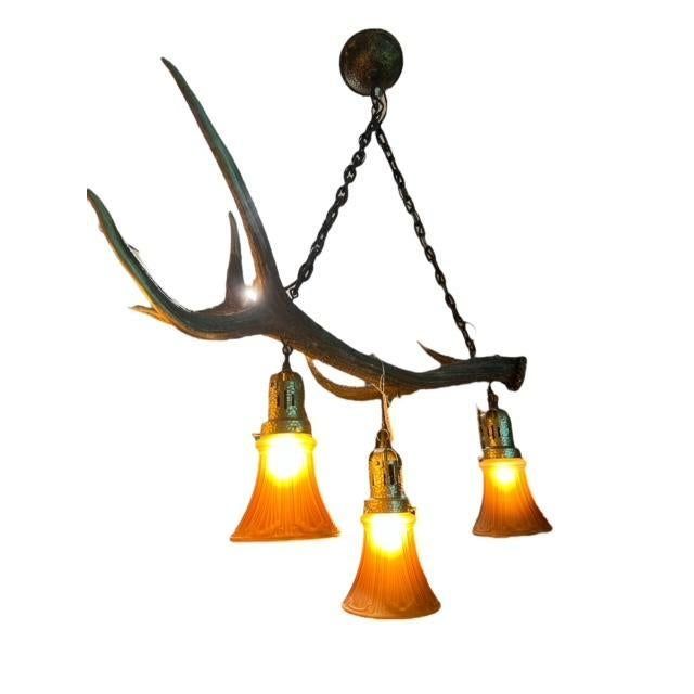 Nature-inspired chandelier